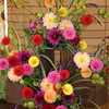県産花き展示　その２