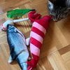 飽きたオモチャ。。。