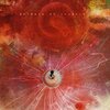 万華鏡のように美しく Animals as Leaders の Joy of Motion