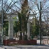 大國魂神社 参拝