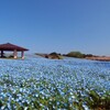 海の中道海浜公園