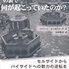 リチャード・ゴールドバーグ「ウォール街の崩壊の裏で何が起こっていたのか？」