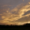 数日前の夕景＆今日の独り言