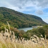 新中山池（香川県小豆島）