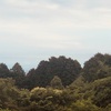 今朝の景色