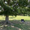 チェアリング スポット『馬込川水辺の公園』静岡