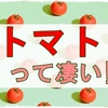 トマトは旨い!減塩の食事でも満足感たっぷりの美味しいご飯です