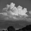 季節外れの雲
