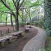 春の終わりの殿ヶ谷戸庭園♪（国分寺市南町）