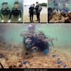 時にらしくない海も