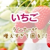 いちごのランナーが増えすぎて困る！原因・剪定方法・管理のコツを徹底解説！