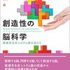 形に関する視覚情報の流れ