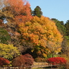 清水公園、フルーツカフェ オレンジ