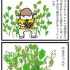 大きくなりました。