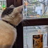 喫茶 岸「開けてあげよかね」