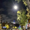 4年ぶり韓国旅行2023①