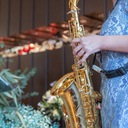 Saxolog