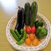 娘と一緒に収穫した野菜で夜ご飯♪