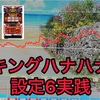 キングハナハナ設定6回してみた