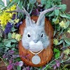 ウサギちゃん→ジャッカロープ