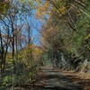 猿ケ城渓谷の紅葉～つくば市とその周辺の風景写真案内（１２０７） 