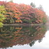 信州～軽井沢ツー８雲場池の紅葉