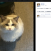 Xamarin.Forms で Facebook に写真をアップロードしてみる