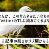 Twitterで見るナゾの文言「記事の続きはリプ欄から」【犯人はアンテナサイト】