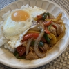 ann's coffee | 京都カフェ | 京都ドッグカフェ | 京丹波町カフェ|京丹波町ドッグカフェ|焙煎珈琲 |2024 6/28