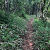 巨岩に築かれた山城『苗木城跡』から絶景を望む　　〈前編〉　