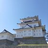 子どもとたっぷり遊べる♪小田原城址公園その1