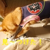 妖怪カジカジ、だよ