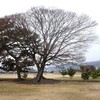 2026年3月2日（月）　多 感 な 日 も あ る。