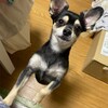まろにー1885日目