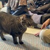 東京操体フォーラム実行委員ブログ。