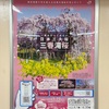 日本三大桜の「三春滝桜」を見に行くも・・・|桜とお城巡りの東北旅②