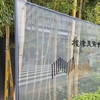 根津美術館＆アルペンスポーツ＆AirPodsPro&GWの振り返り