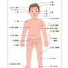 ゲイマッサージする時に、この名前は覚えておこう！　その１　人体各部