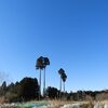 寒い日は「お鍋が一番」ですね。