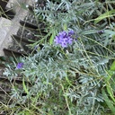 minamichankawai's blog６０最後１０３キロからの減量