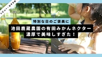 池田鹿蔵農園の有田みかんネクターが濃厚で美味しすぎた！
