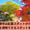 大分の中津市は紅葉スポットがたくさん！自然を満喫できるスポットを紹介