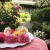 多肉からの草花になり最後はやはり薔薇🌹になる⁉️