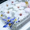 今日から２年生！