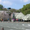清正公像と千原桜
