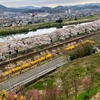 船岡城址公園 混雑避けるなら早朝お花見がおすすめ！