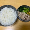 【お弁当】本日のお昼