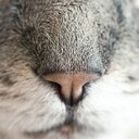こんなもの