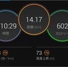 JOG 70分 暑さで汗だくになる