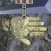 霊能者様のおかげで娘が助かりました！ というだけの話をどう楽しめというのか-『霊能者』